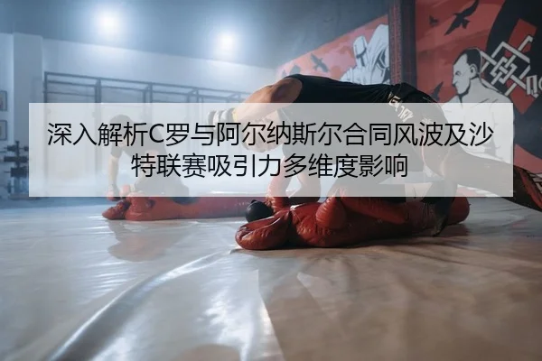 shen-ru-jie-xi-luo-yu-a-er-na-si-er-he-tong-feng-bo-ji-sha-te-lian-sai-xi-yin-li-duo-wei-du-ying-xiang-2-531.jpg